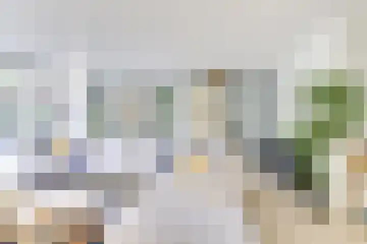 Amaliastein 138 Vianen thumbnail 14