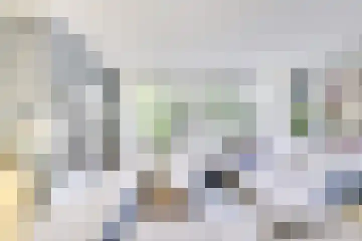 Amaliastein 138 Vianen thumbnail 15