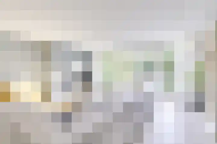 Amaliastein 138 Vianen thumbnail 16