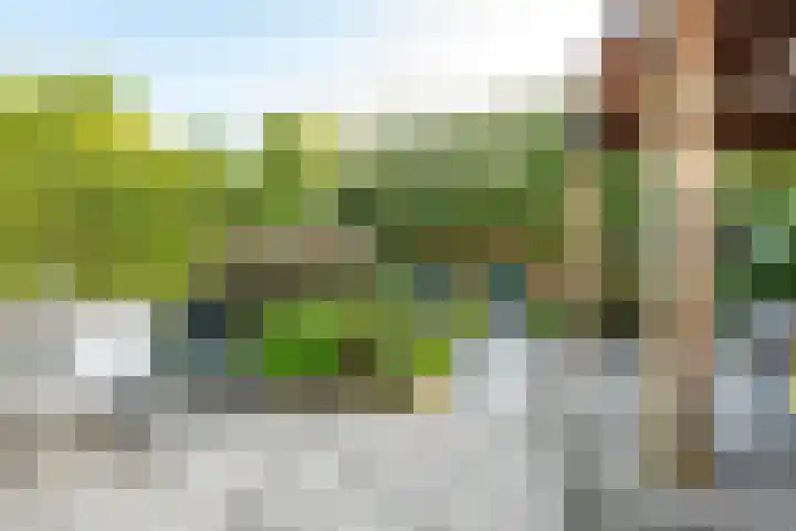 Amaliastein 138 Vianen thumbnail 19