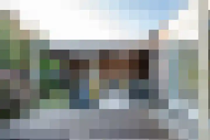 Amaliastein 138 Vianen thumbnail 20