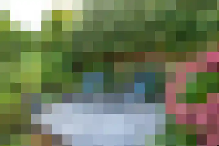 Amaliastein 138 Vianen thumbnail 21