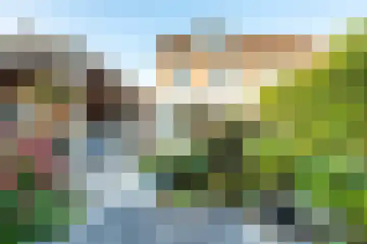 Amaliastein 138 Vianen thumbnail 22