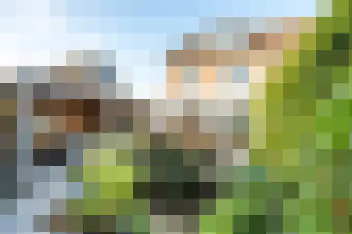 Amaliastein 138 Vianen thumbnail 23
