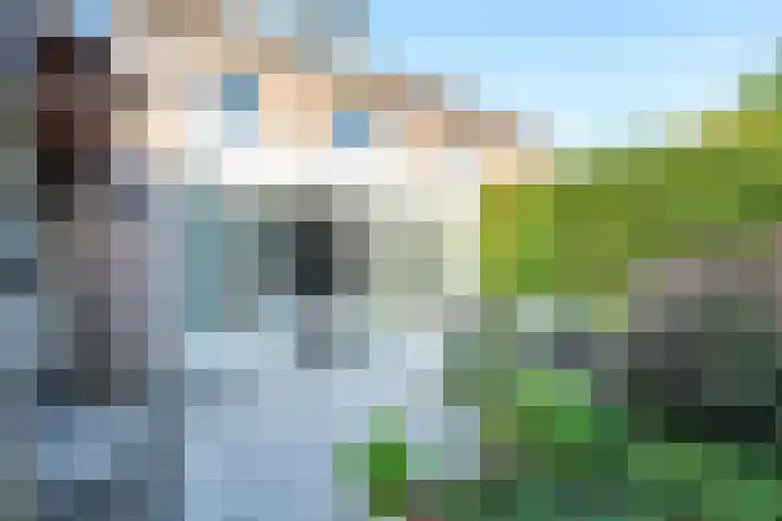 Amaliastein 138 Vianen thumbnail 24