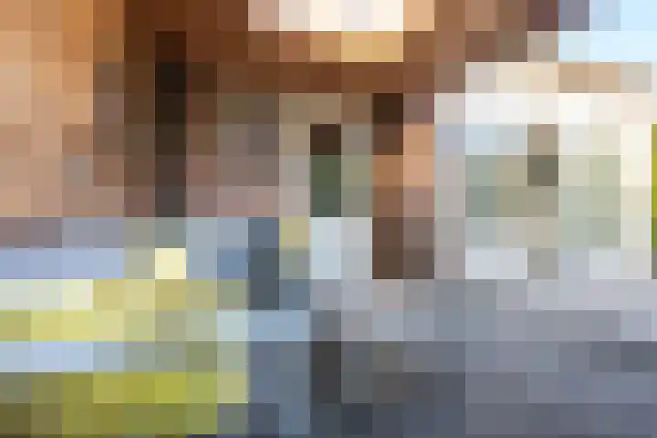 Amaliastein 138 Vianen thumbnail 27