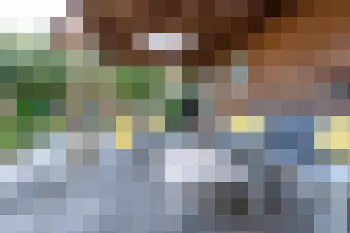 Amaliastein 138 Vianen thumbnail 28