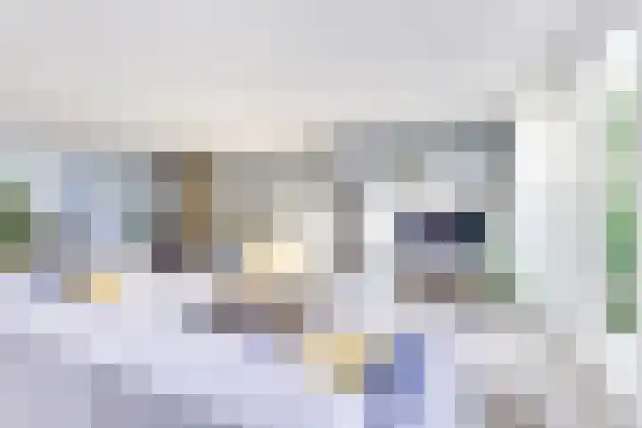 Amaliastein 138 Vianen thumbnail 30