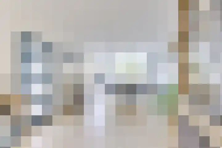 Amaliastein 138 Vianen thumbnail 34