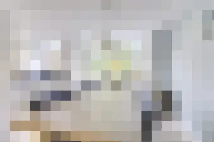 Amaliastein 138 Vianen thumbnail 35