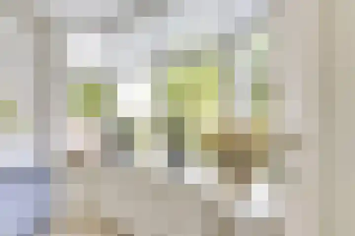 Amaliastein 138 Vianen thumbnail 36