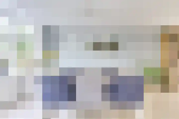 Amaliastein 138 Vianen thumbnail 37