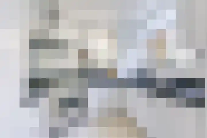 Amaliastein 138 Vianen thumbnail 38