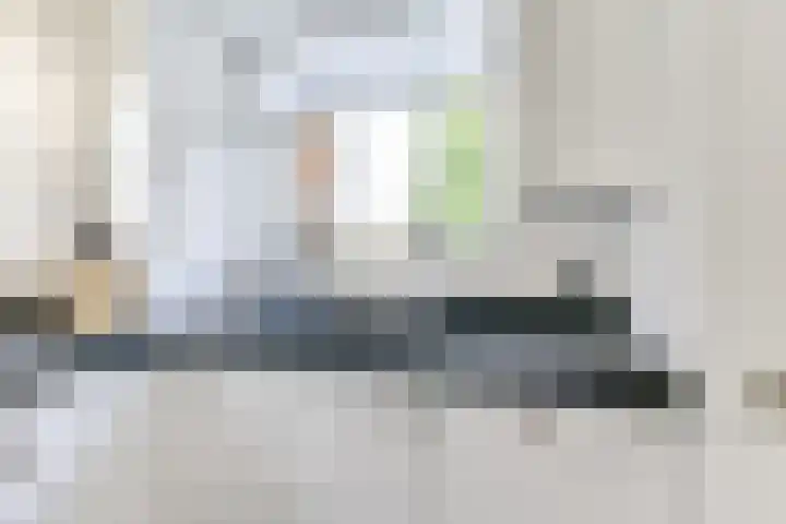 Amaliastein 138 Vianen thumbnail 39