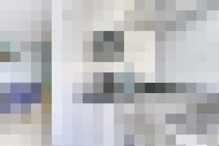 Amaliastein 138 Vianen thumbnail 41