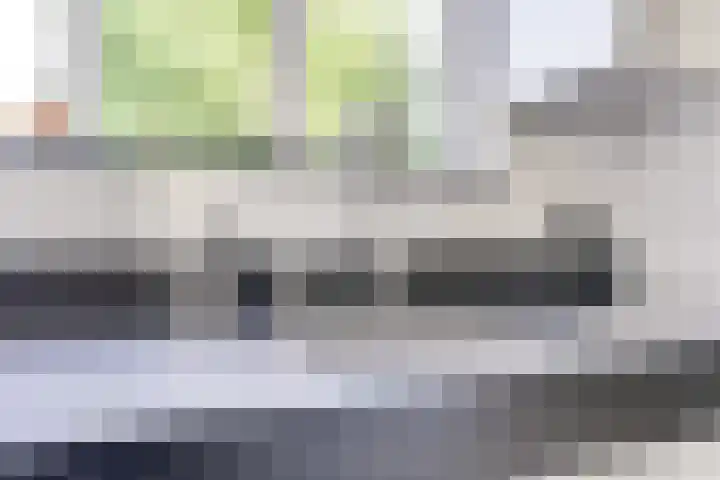 Amaliastein 138 Vianen thumbnail 42