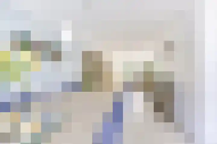 Amaliastein 138 Vianen thumbnail 43