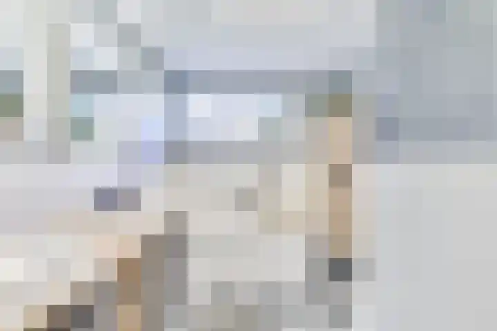 Amaliastein 138 Vianen thumbnail 50