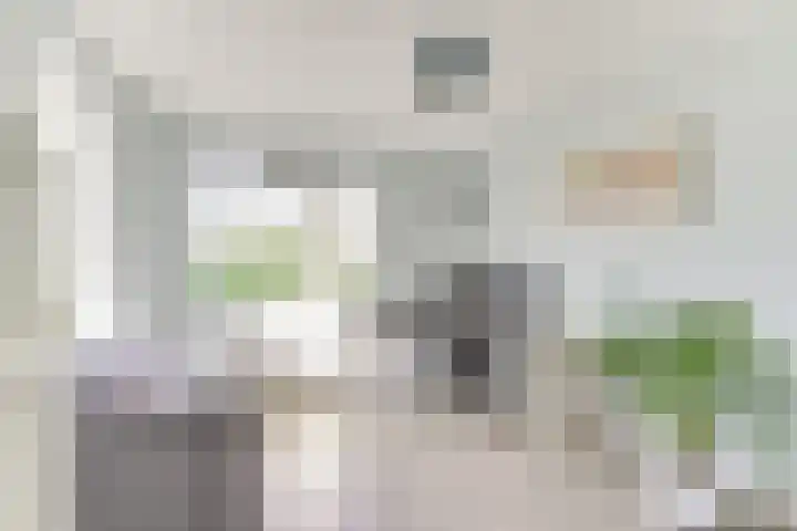 Amaliastein 138 Vianen thumbnail 55