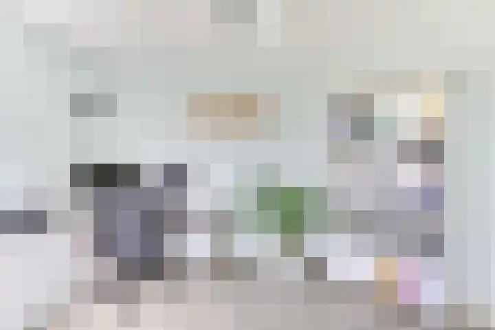 Amaliastein 138 Vianen thumbnail 56