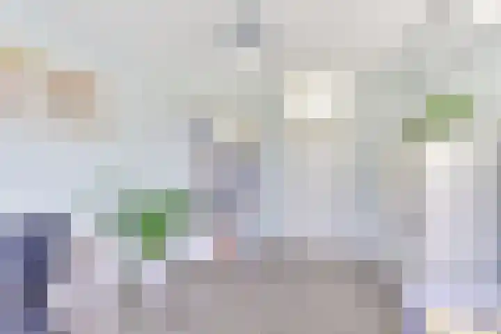 Amaliastein 138 Vianen thumbnail 57