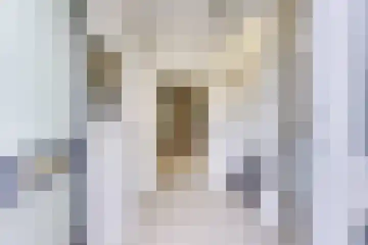 Amaliastein 138 Vianen thumbnail 6