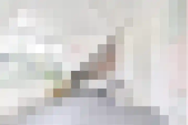 Amaliastein 138 Vianen thumbnail 61