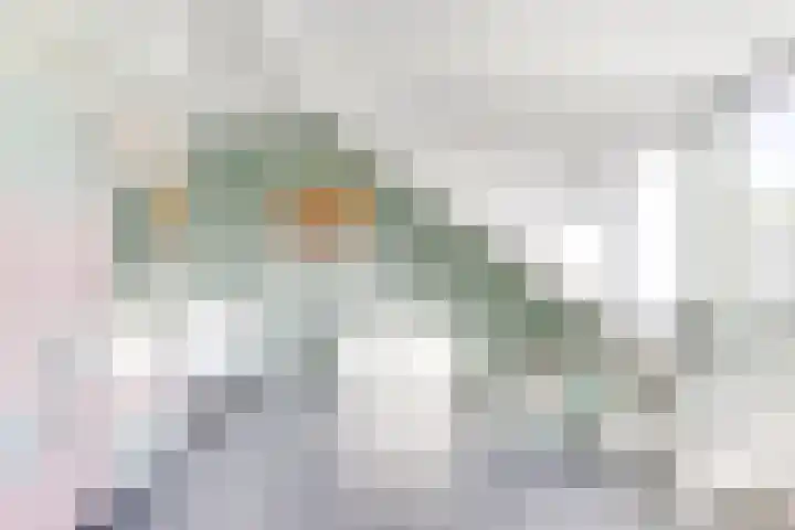 Amaliastein 138 Vianen thumbnail 62