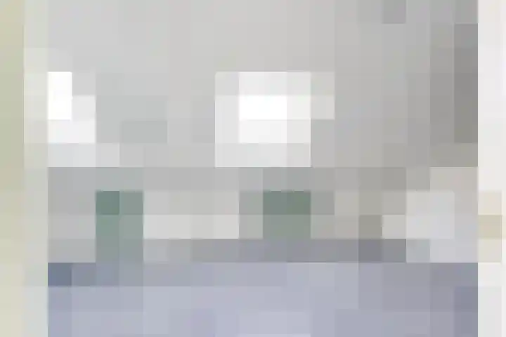 Amaliastein 138 Vianen thumbnail 65
