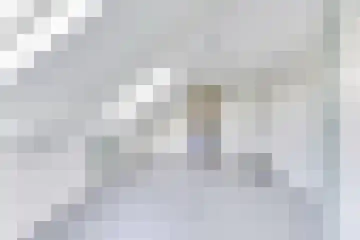 Amaliastein 138 Vianen thumbnail 67
