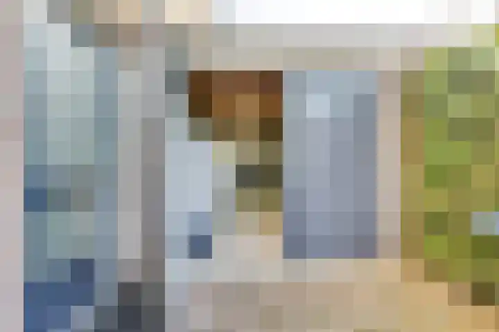 Amaliastein 138 Vianen thumbnail 72