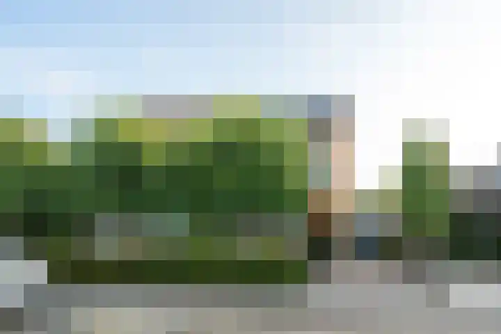 Amaliastein 138 Vianen thumbnail 73