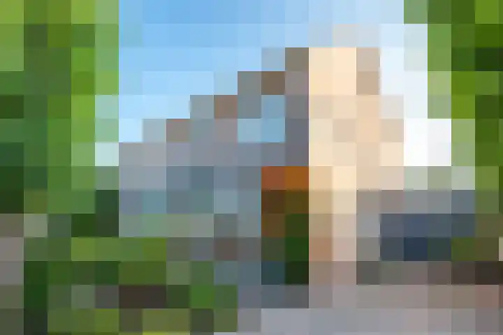 Amaliastein 138 Vianen thumbnail 74