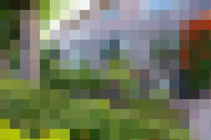 Amaliastein 138 Vianen thumbnail 75