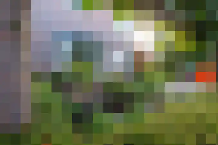 Amaliastein 138 Vianen thumbnail 76
