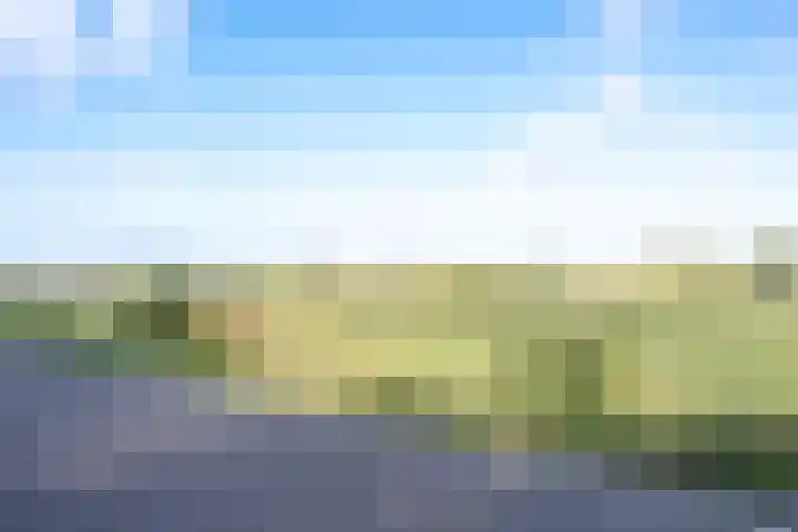 Amaliastein 138 Vianen thumbnail 78