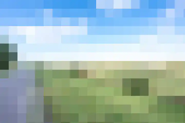 Amaliastein 138 Vianen thumbnail 79