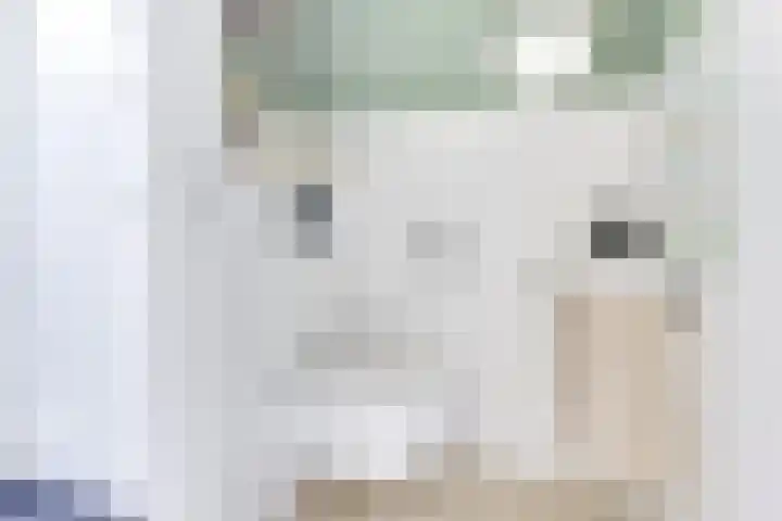 Amaliastein 138 Vianen thumbnail 8