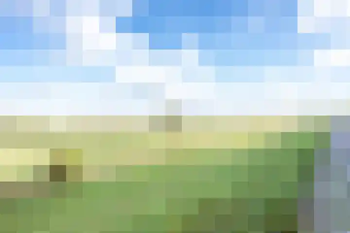 Amaliastein 138 Vianen thumbnail 80