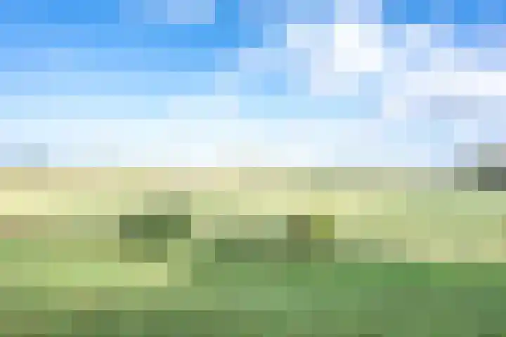 Amaliastein 138 Vianen thumbnail 81
