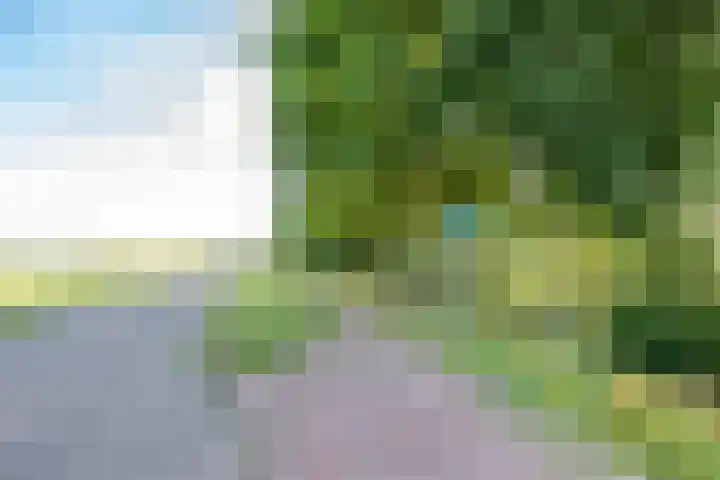 Amaliastein 138 Vianen thumbnail 82