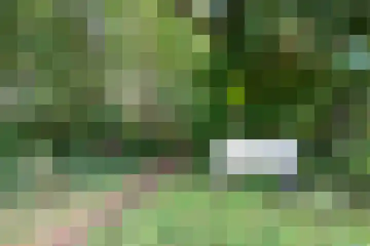 Amaliastein 138 Vianen thumbnail 83