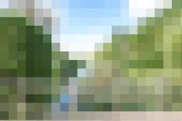 Amaliastein 138 Vianen thumbnail 84