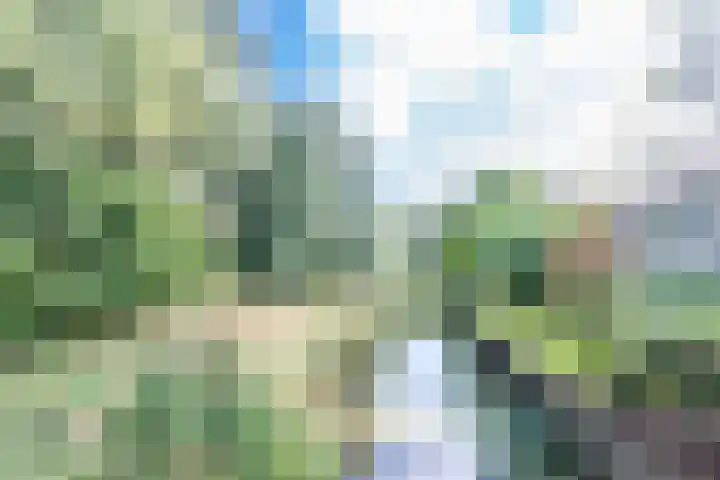 Amaliastein 138 Vianen thumbnail 85