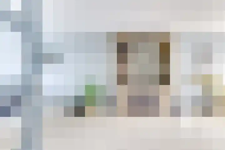 Amaliastein 138 Vianen thumbnail 9