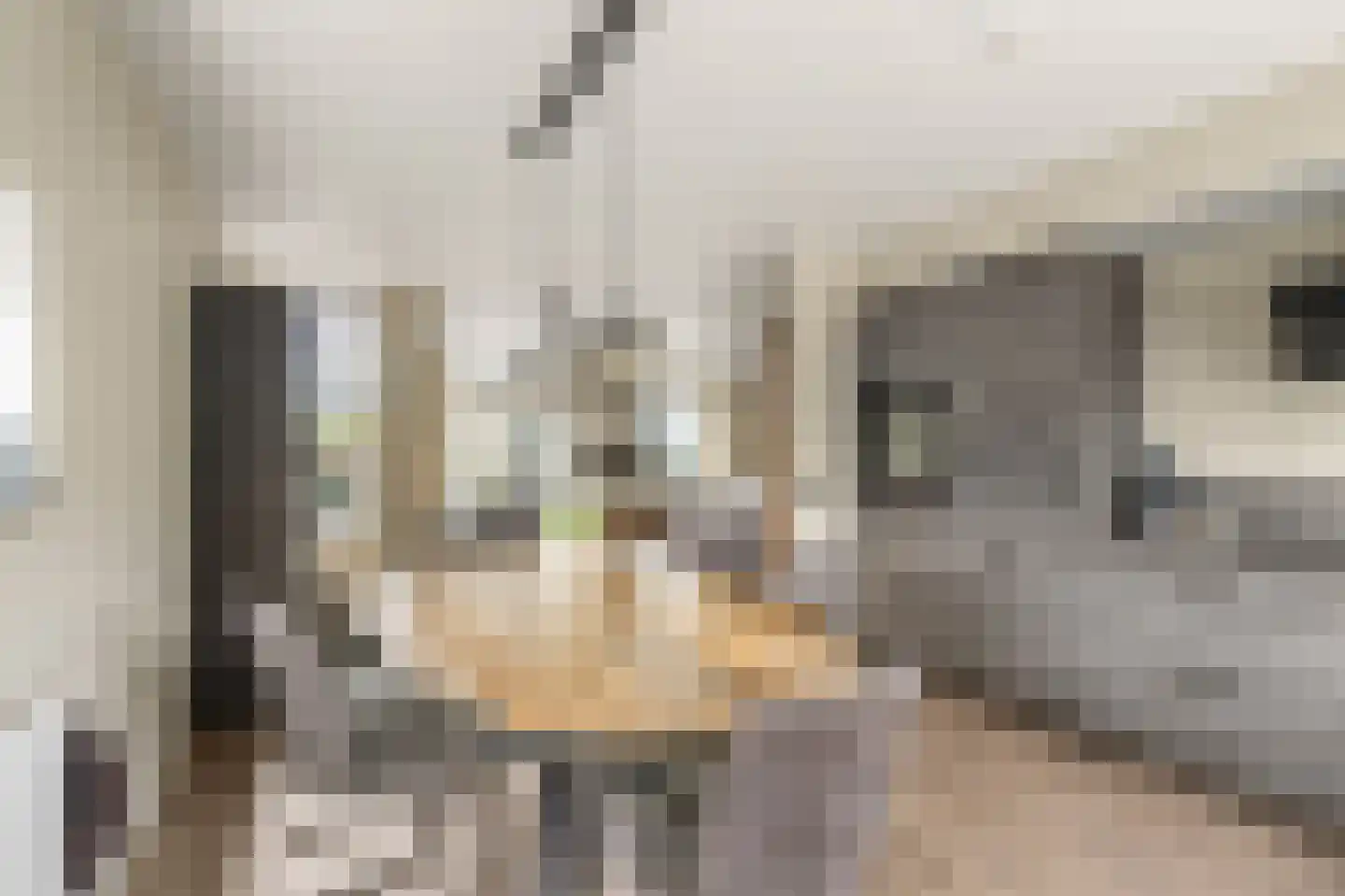 Amaliastein 163 Vianen thumbnail 13