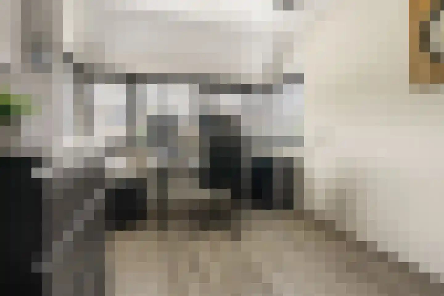 Amaliastein 163 Vianen thumbnail 19