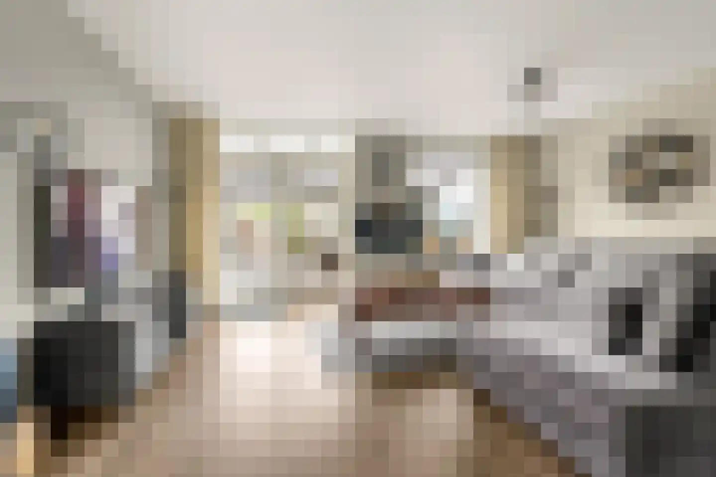 Amaliastein 163 Vianen thumbnail 4