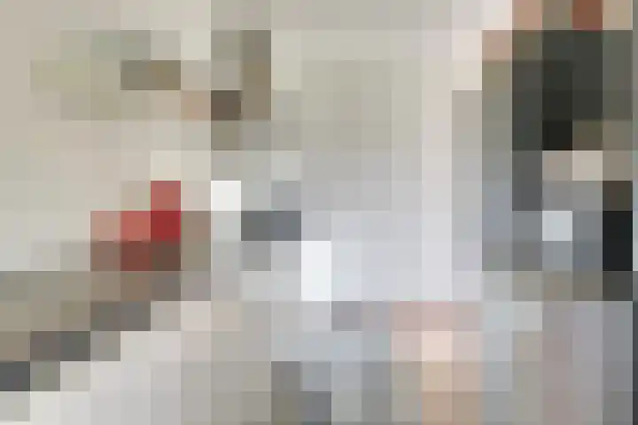 Amaliastein 171 Vianen thumbnail 12