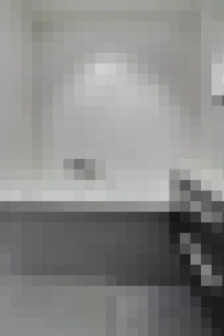 Amaliastein 171 Vianen thumbnail 18